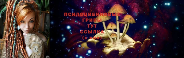 СК Елизово
