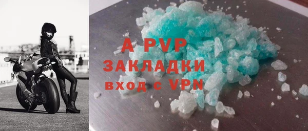 стафф Дмитров