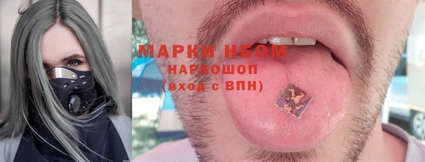 прущие крисы Ельня