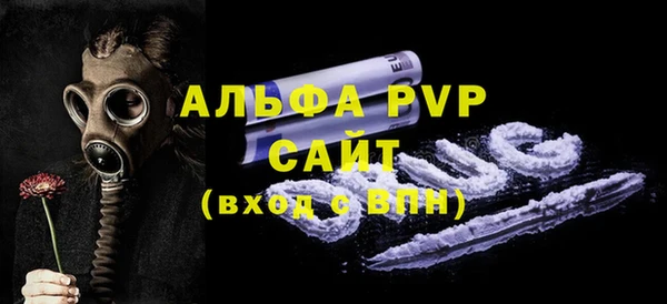 СК Елизово