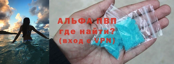 стафф Дмитров