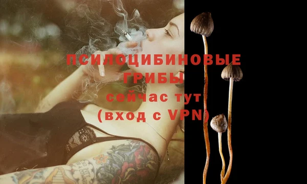 героин Елабуга
