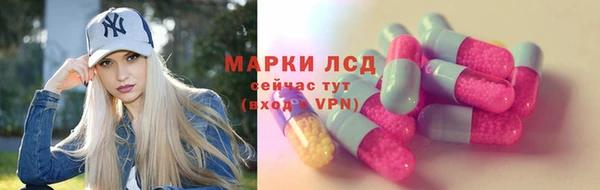 прущие крисы Ельня