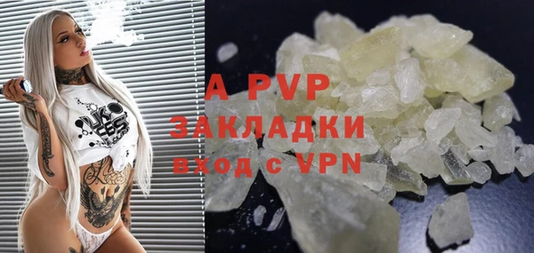 прущие крисы Ельня