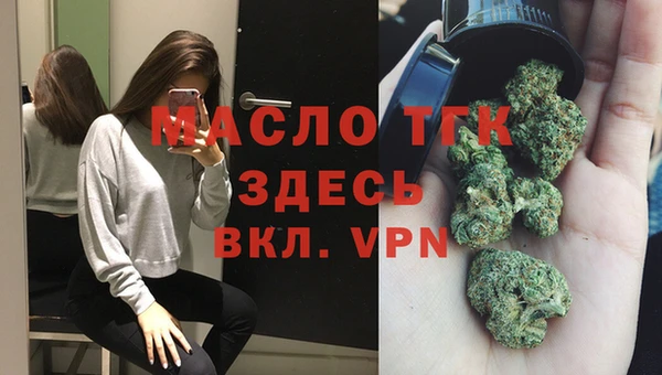 СК Елизово